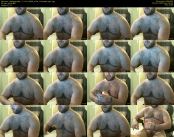chicagoguy86