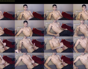 sexual_vibrations
