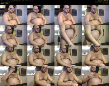 italian_bear