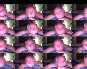 steverbear