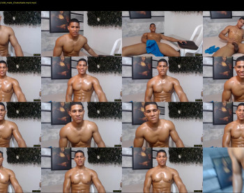 teddyfit19cm