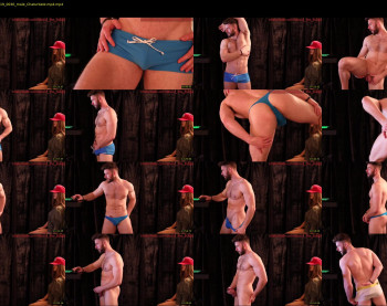 about_the_bulge