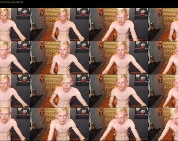 fry_novik