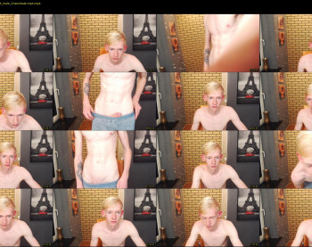 fry_novik