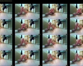 lofty7plus
