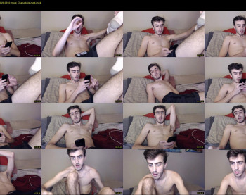 sexual_vibrations