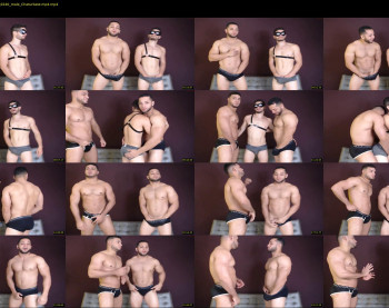 savage_studs
