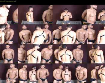 savage_studs