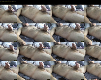 bearcum55744