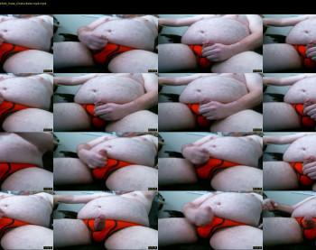 hookembear