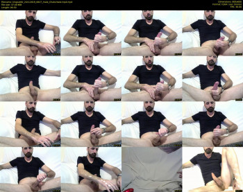 kingcat82