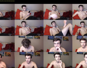 sexual_vibrations