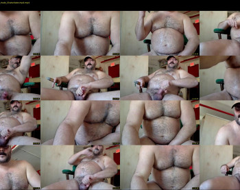 cjbbear