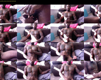 kingreesedavid