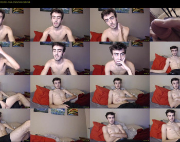 sexual_vibrations