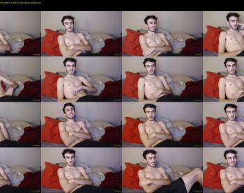 sexual_vibrations