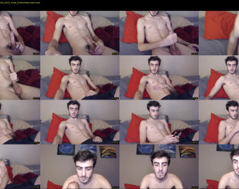 sexual_vibrations