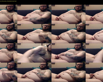 beerbellycub94