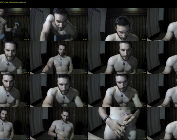 osito_blanco