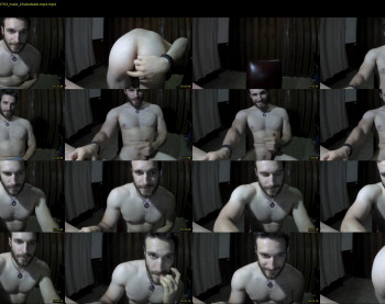 osito_blanco