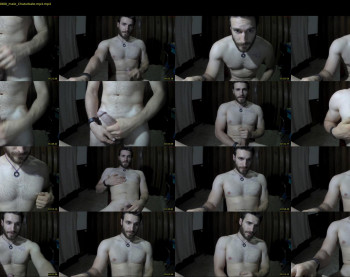 osito_blanco