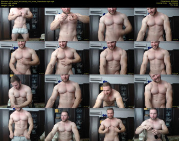 alvin_hunk