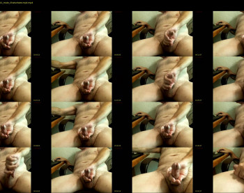 bare_bear