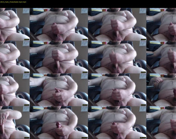bichubbydick