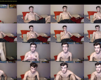 sexual_vibrations