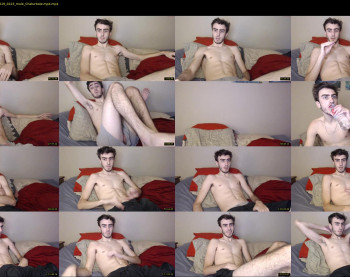 sexual_vibrations