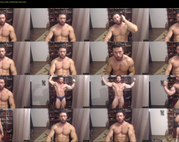 stevebulkzor