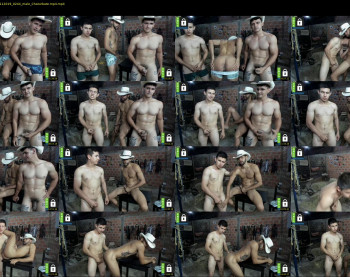 the_sensual_cowboys