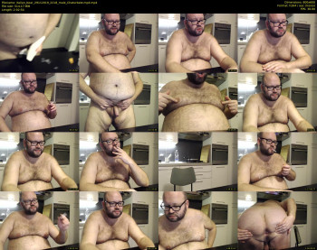 italian_bear