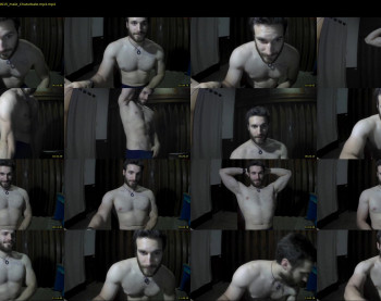 osito_blanco