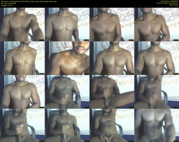 apollodarkmn
