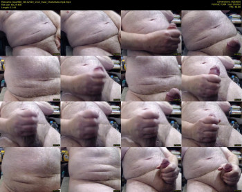 bear696