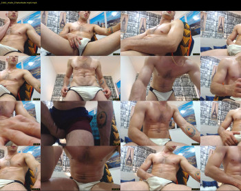damiann_fox3