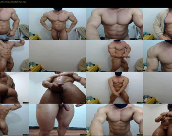 promuscles4u