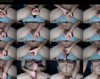 fuzzface1