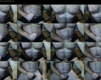 furrybear2