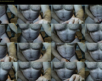 furrybear2