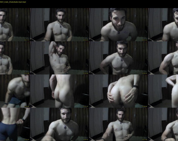 osito_blanco