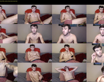 sexual_vibrations
