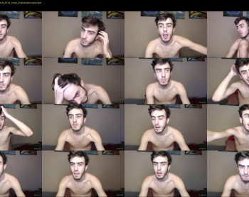 sexual_vibrations