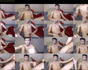 sexual_vibrations