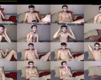 sexual_vibrations