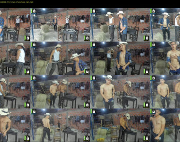 the_sensual_cowboys