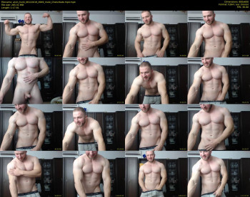 alvin_hunk