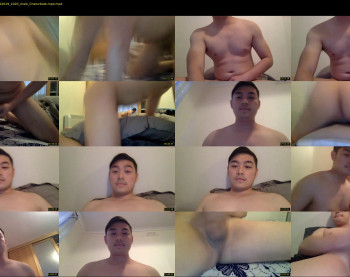 haydennguyen9396