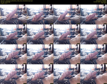 zedisded11